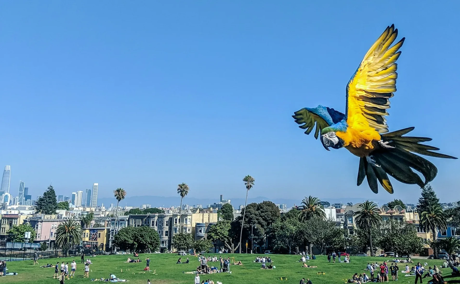 Read more about the article Experience San Francisco: Mission District Art History Tour