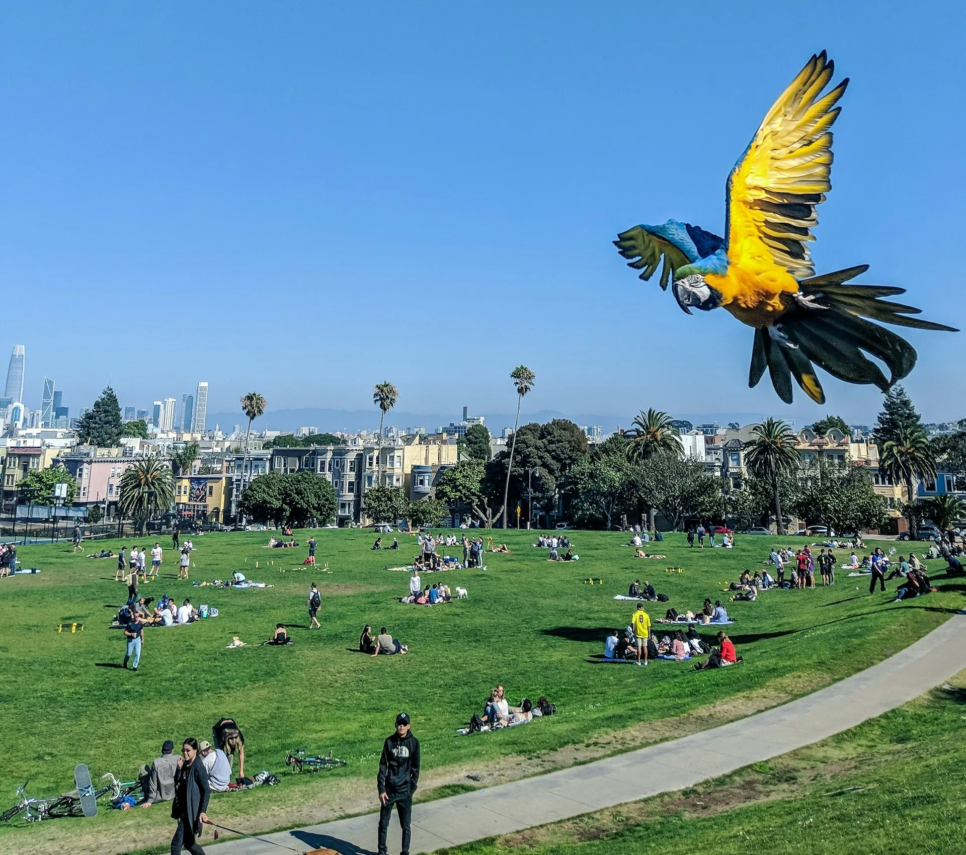 Read more about the article Experience San Francisco: Mission District Art History Tour